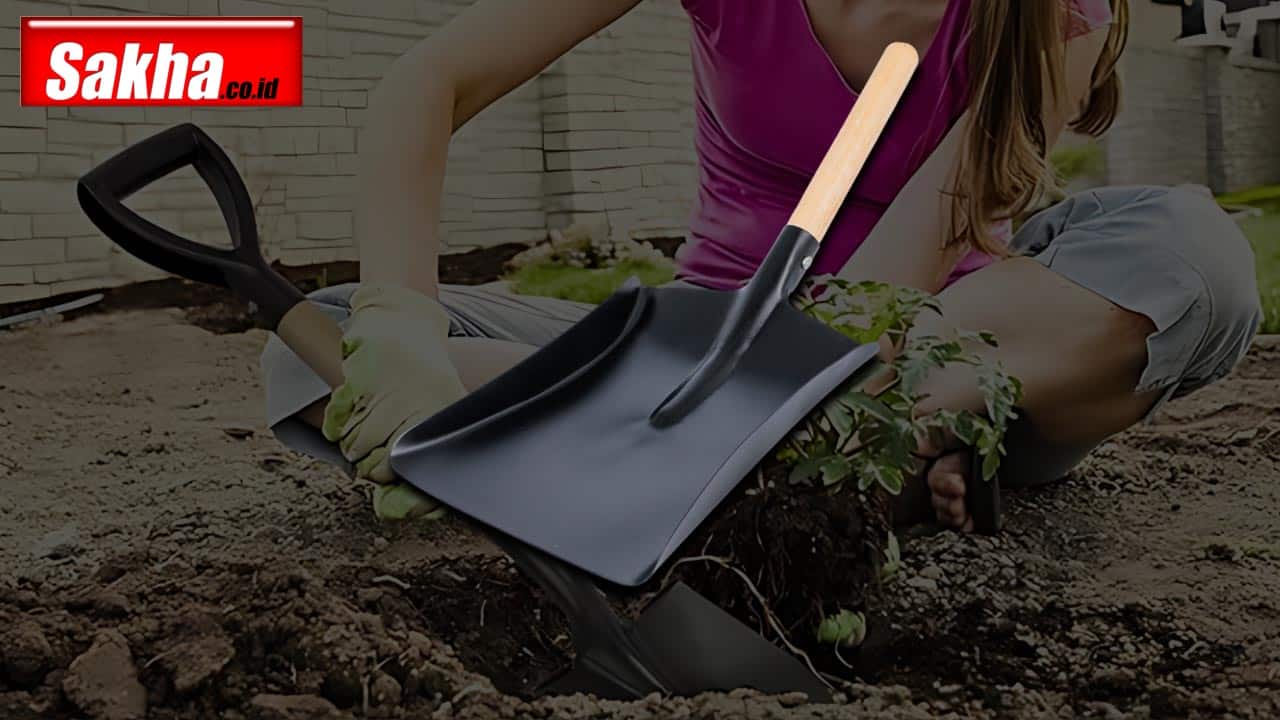 Jual Shovels Hand: Distributor Shovels Hand untuk Kebutuhan